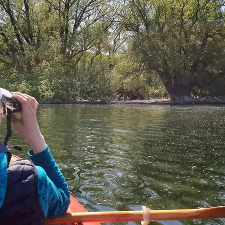 Apartment Am Schwanensee Plön