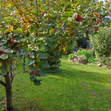 Am Schwanensee דירה Plön