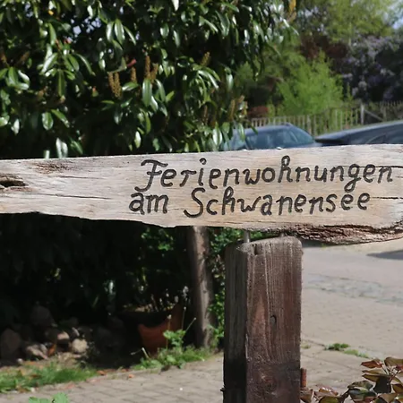Am Schwanensee *