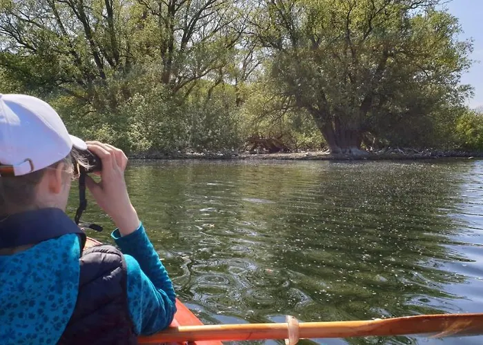 Appartement Am Schwanensee Plön