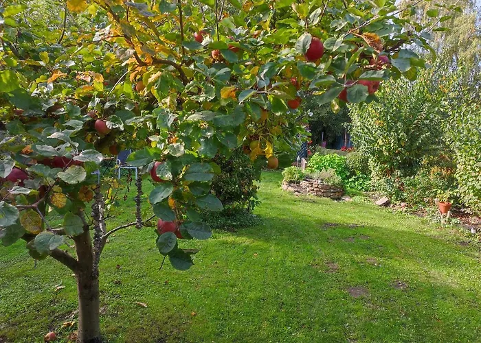 Am Schwanensee Appartement Plön